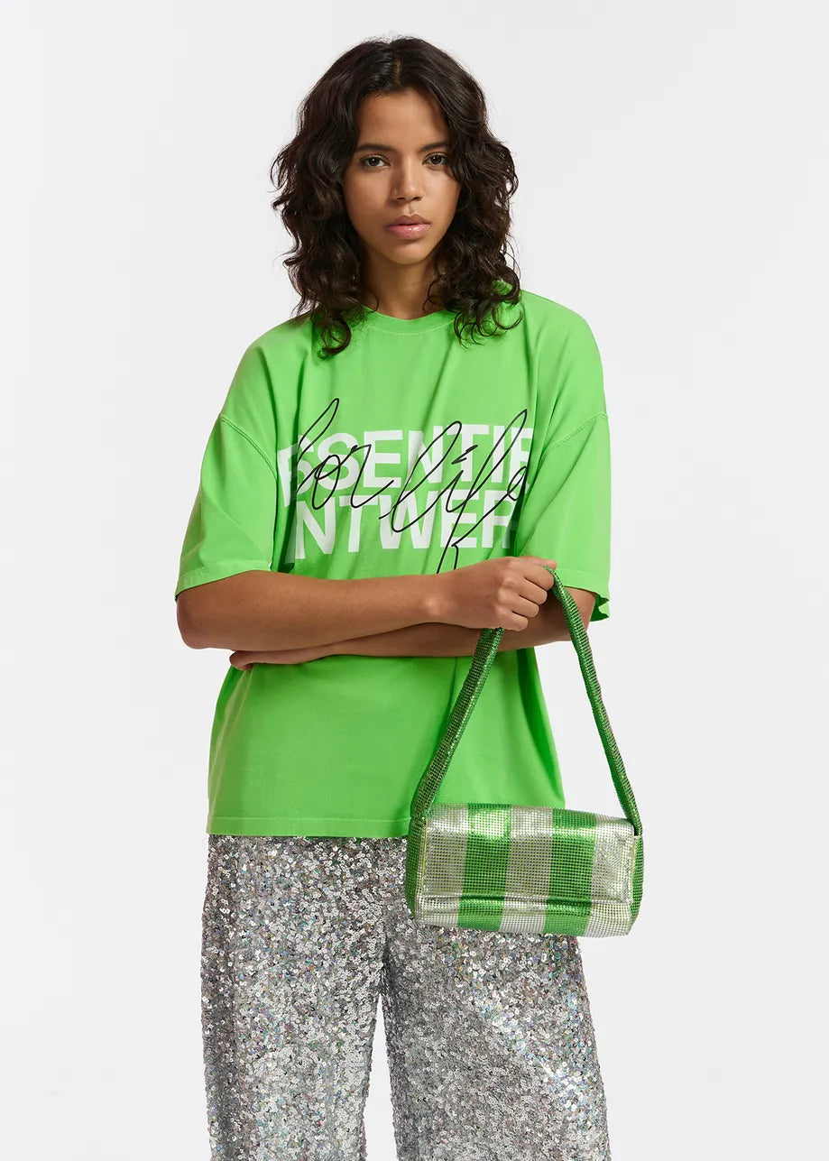 Essentiel Antwerp Green and Silver Striped Chainmail Shoulder Bag