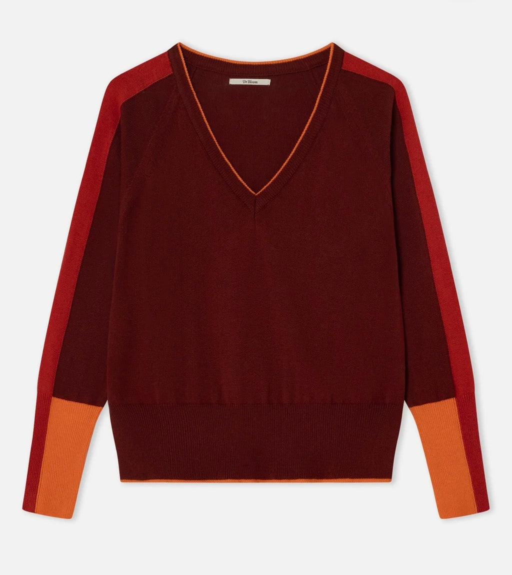 Dr. Bloom Burgundy V- Neck Sweater
