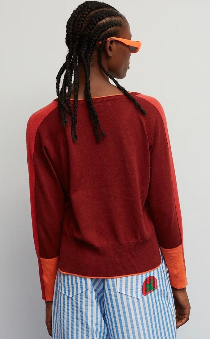 Dr. Bloom Burgundy V- Neck Sweater