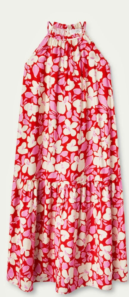 Compania Fantastica Pink & Red Floral Halter-Neck Long Dress