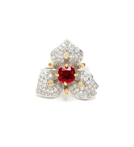 Nali Silver Ring with Crystal & Ruby Stone