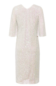 RDF Champagne Sequin Dress