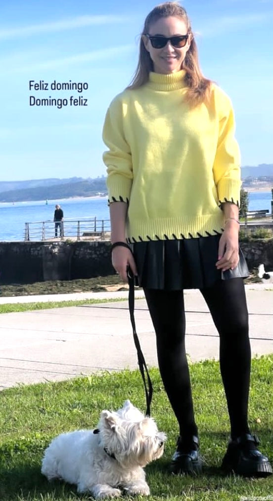 Wild Pony Yellow Turtle Neck Jumper